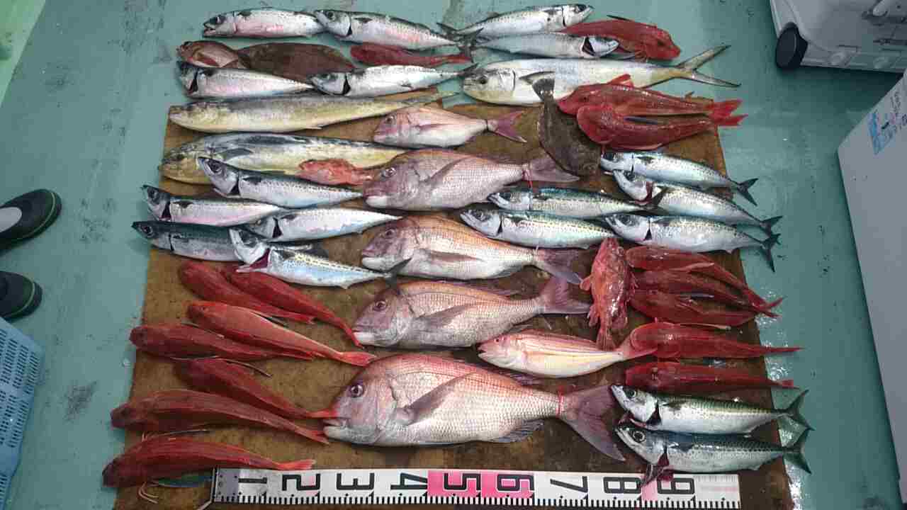 a0248152_17121229.jpg