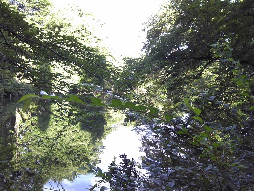 f0055956_16285037.jpg