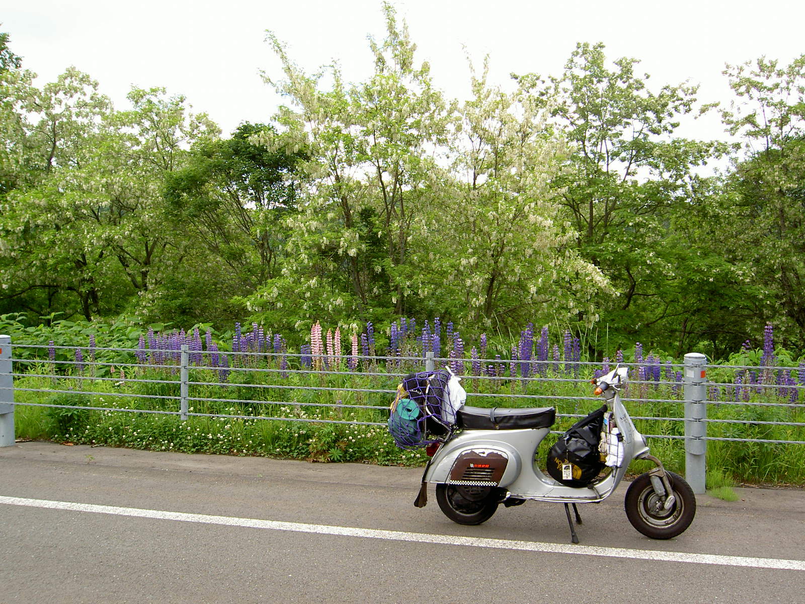 c0217759_22012486.jpg