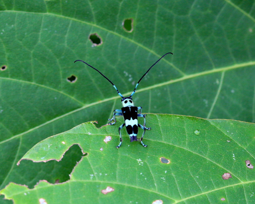 c0305565_17480375.jpg