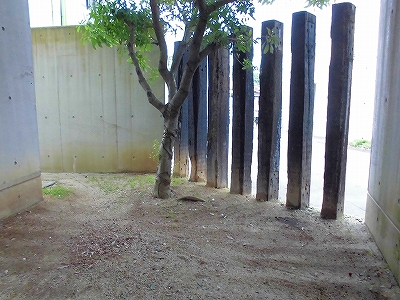 e0002466_10125211.jpg