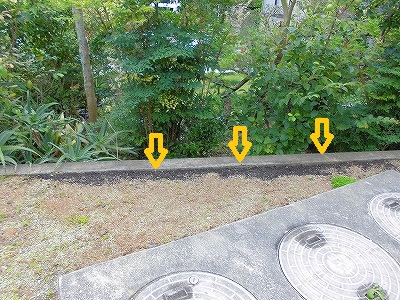 e0002466_10191674.jpg