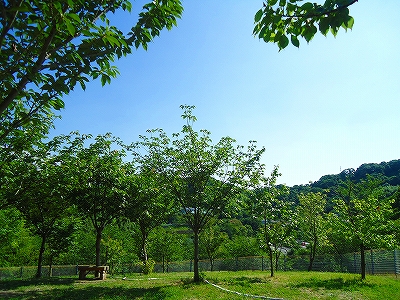 e0002466_194872.jpg