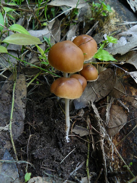 d0019074_74143100.jpg