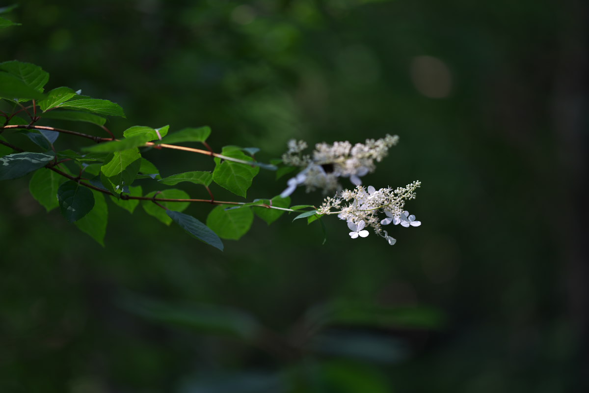 a0083081_1519173.jpg