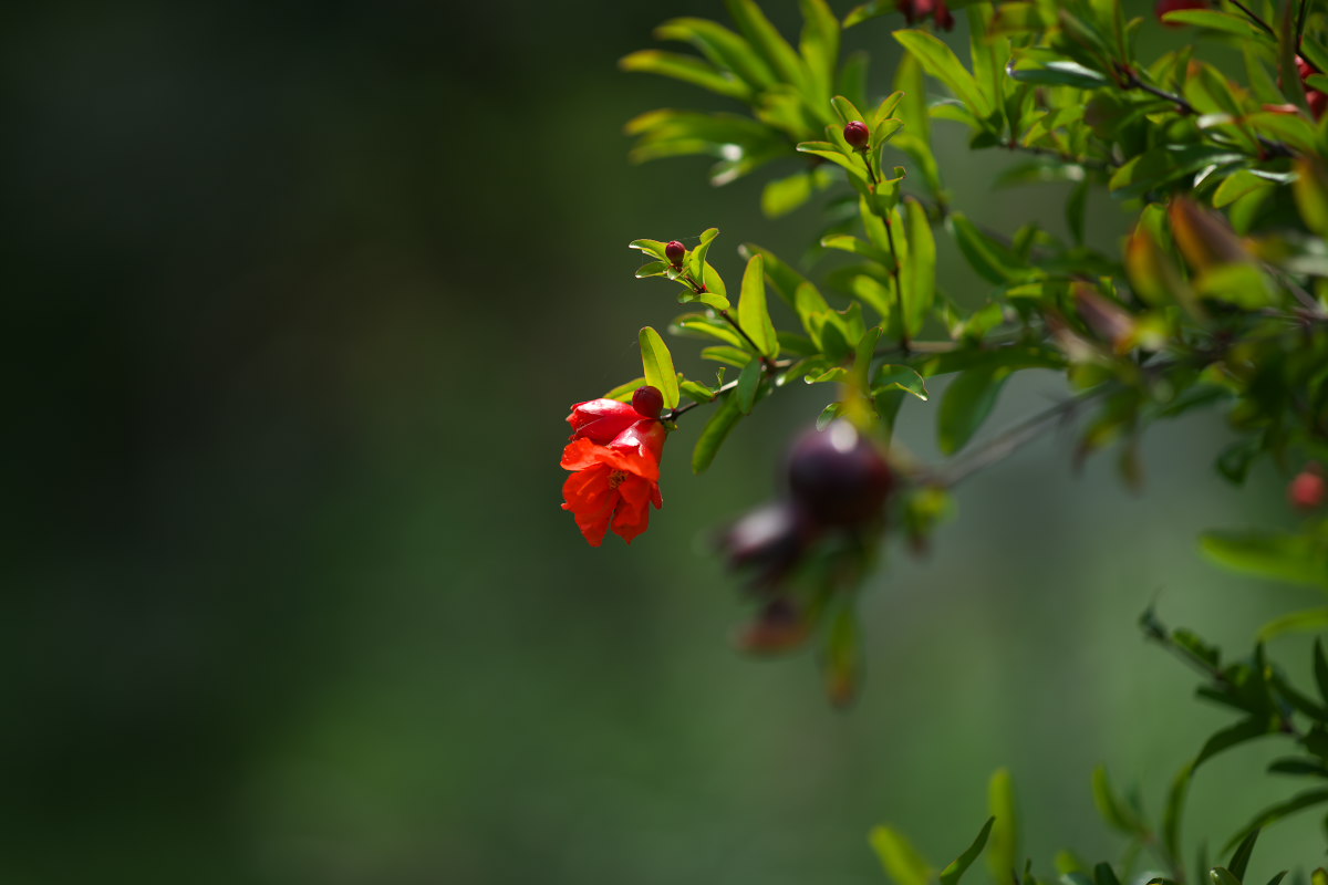 a0083081_15193770.jpg