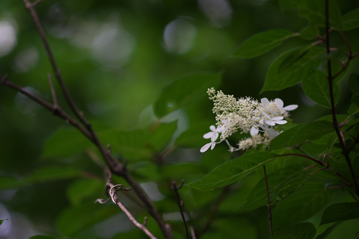 a0083081_1519798.jpg