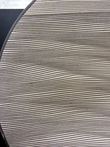 d0085887_435330.jpg
