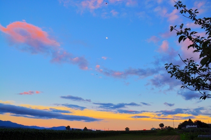c0246290_21585050.jpg