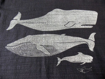 c0166293_1651447.jpg