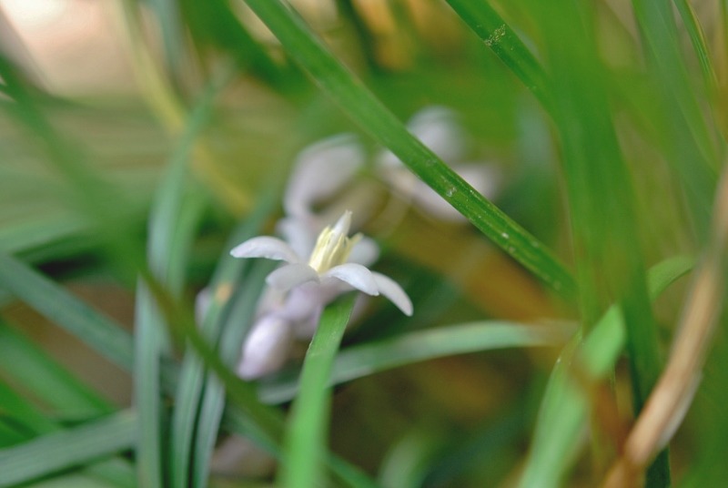 e0025300_20394952.jpg