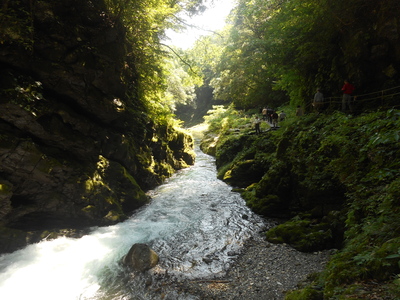 f0061705_16282882.jpg
