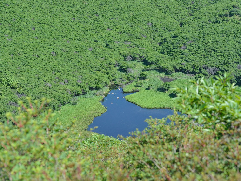 b0277008_18554793.jpg