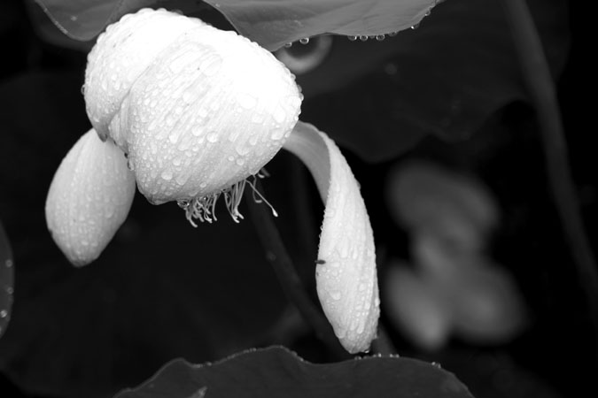 a0263109_11582414.jpg