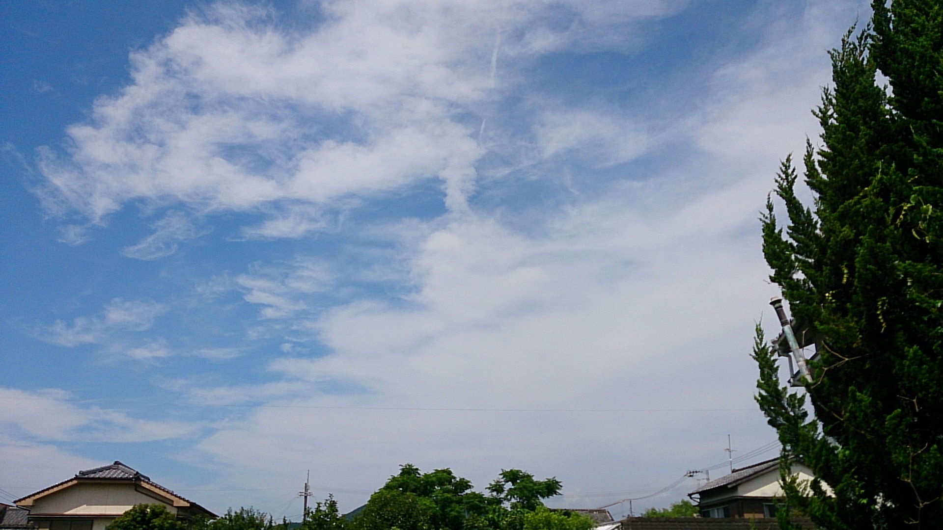 d0237309_21262082.jpg