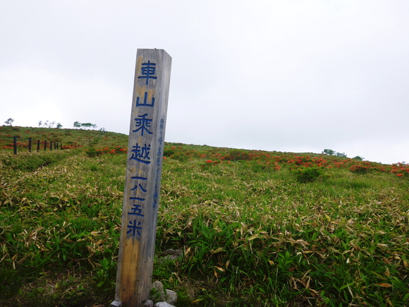 d0170615_651945.jpg
