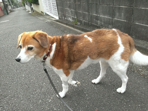 c0084117_8343696.jpg