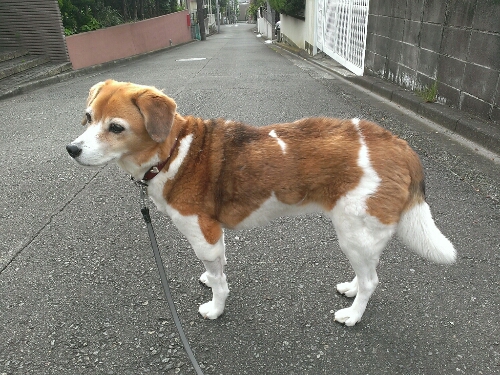 c0084117_834511.jpg