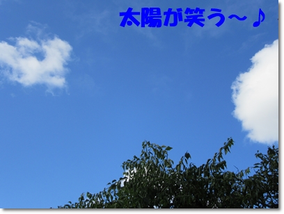 b0167519_858588.jpg
