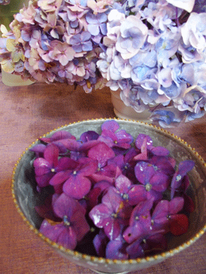 e0312121_2321485.gif