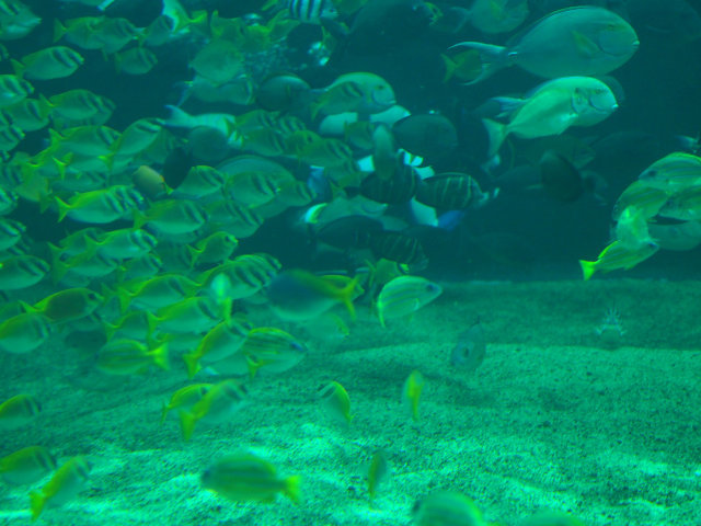 a0037322_16375517.jpg