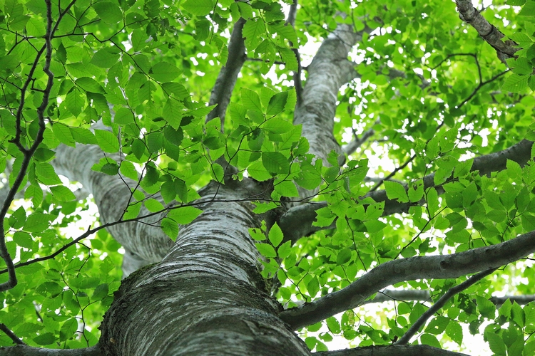 c0104227_20312456.jpg
