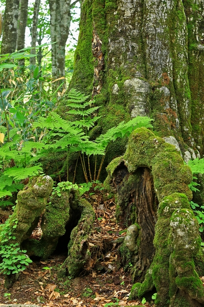 c0104227_2040772.jpg