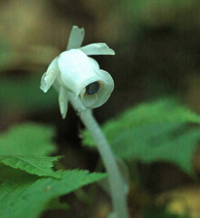c0104227_2129866.jpg