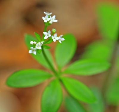 c0104227_21351711.jpg