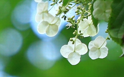 c0104227_21361778.jpg