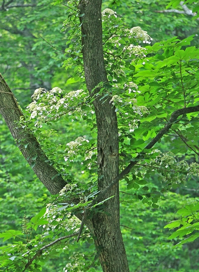 c0104227_2171733.jpg