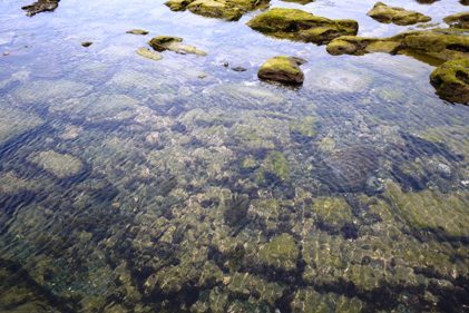 e0346427_17301175.jpg