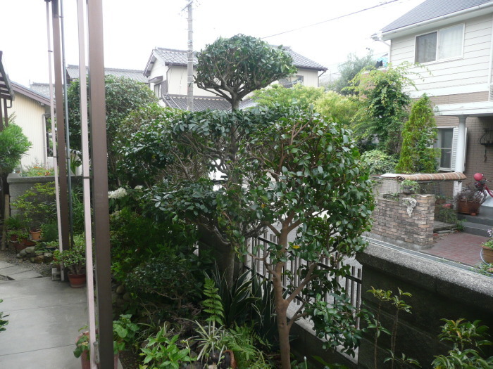 c0009528_15292757.jpg
