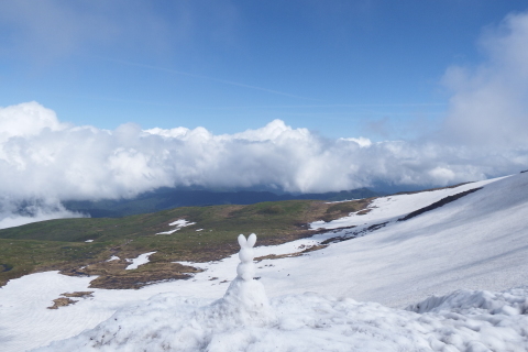 f0118332_23452314.jpg