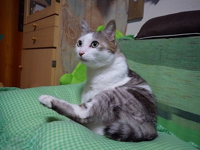 a0337237_15473204.jpg
