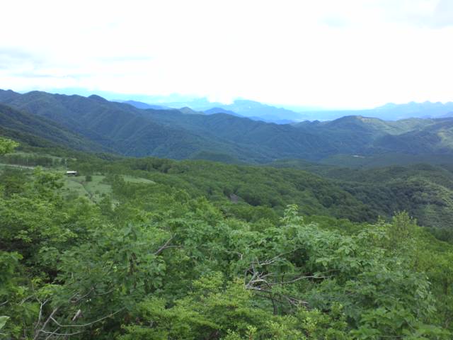d0107938_1323542.jpg