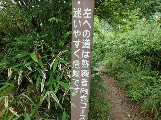 f0334143_756508.jpg