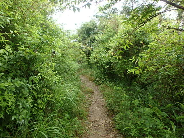 f0334143_757549.jpg