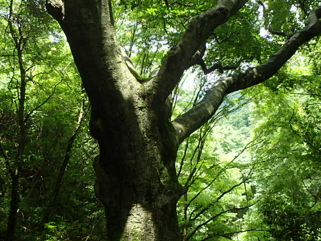 f0334143_80403.jpg