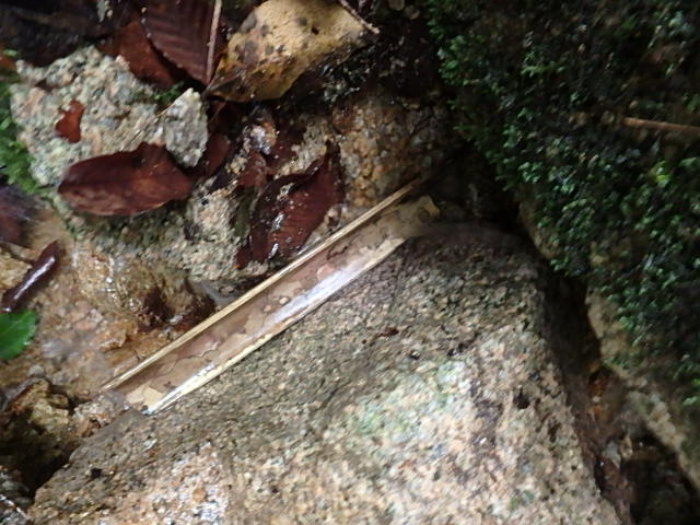 f0334143_811286.jpg