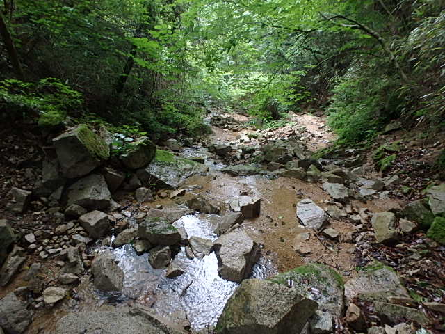 f0334143_83311.jpg