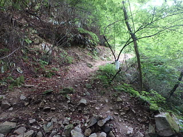 f0334143_834131.jpg