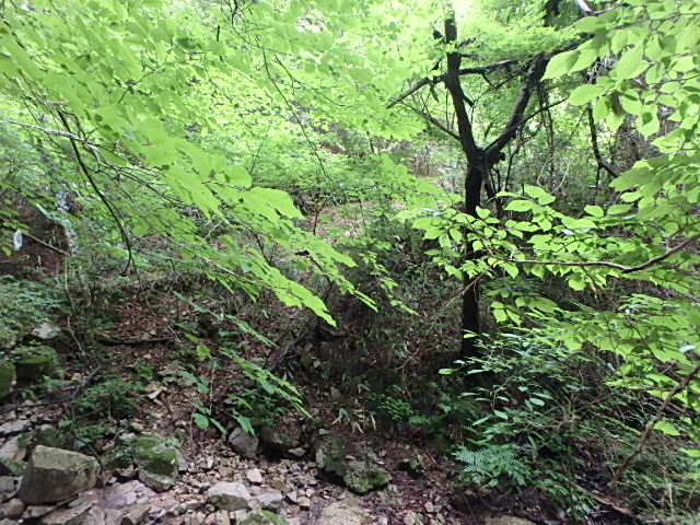 f0334143_834818.jpg