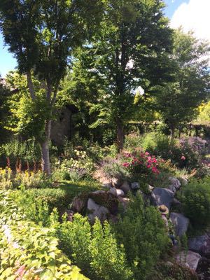 c0359445_78359.jpg