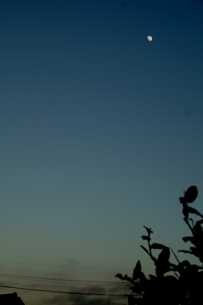 f0214649_4183478.jpg