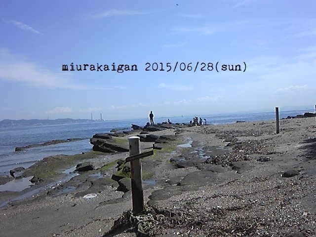 a0153850_22321477.jpg