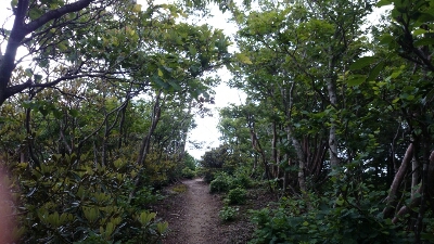 b0148050_11131618.jpg
