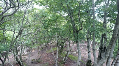 b0148050_11145255.jpg