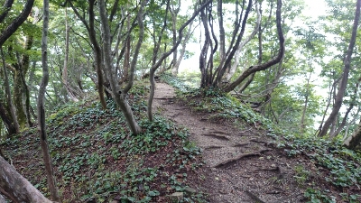 b0148050_11173750.jpg