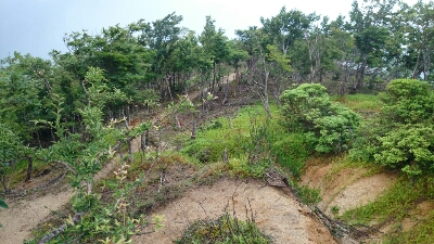 b0148050_11183729.jpg